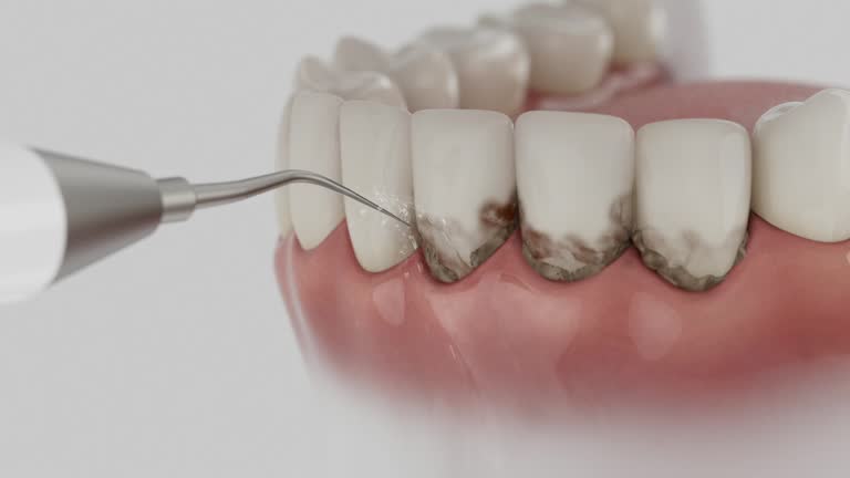 Reliable Dental contractor in George Mason, VA by Dentist Open Now